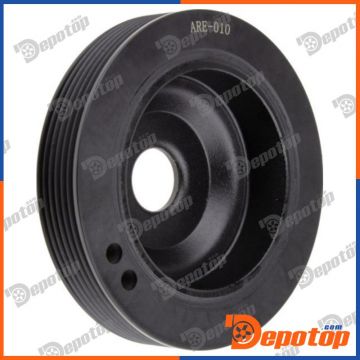 Poulie damper vilebrequin pour RENAULT | RKP-RE-010, 5172
